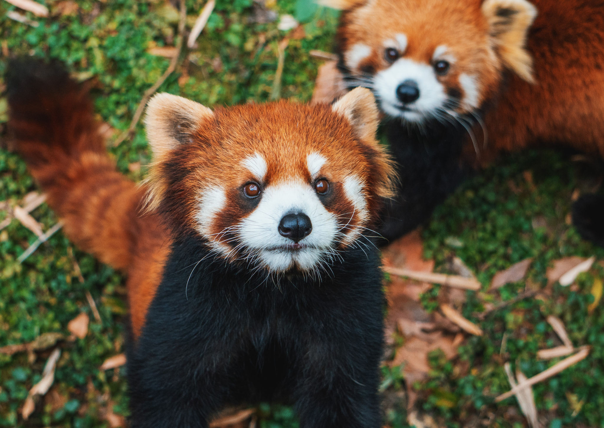 71a0a796654234b520f9164e1f9906